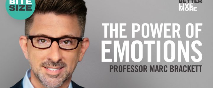 BITESIZE | Why Emotions Matter More Than You Think | Professor Marc Brackett