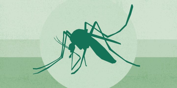 2 Human Cases of West Nile Virus Detected In New York City