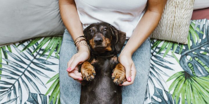 Growing Up With a Pooch Could Be Key to Protecting Against Crohn’s Disease