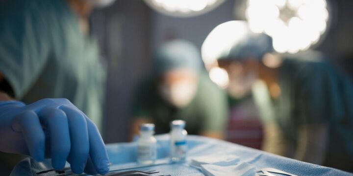 First Successful Pig Kidney Transplant in a Human Is Performed