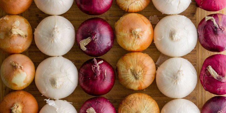 Fresh Onions Identified as Source of Nationwide Salmonella Outbreak