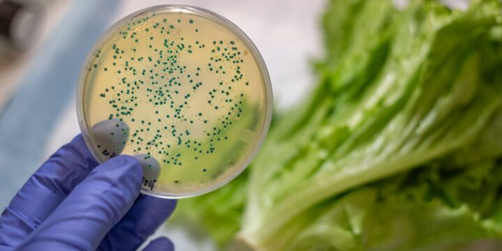 Listeria Outbreak Traced to Packaged Salads Results in 2 Deaths