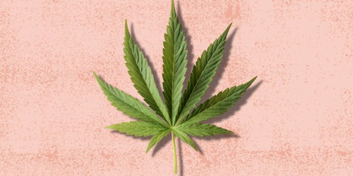 Recent Marijuana Use More Than Doubles the Risk of Complication in a Rare Type of Stroke