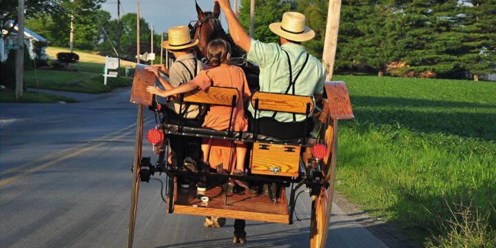 Rare Gene Variant Found in Amish Could Lead to New Treatments for Heart Disease