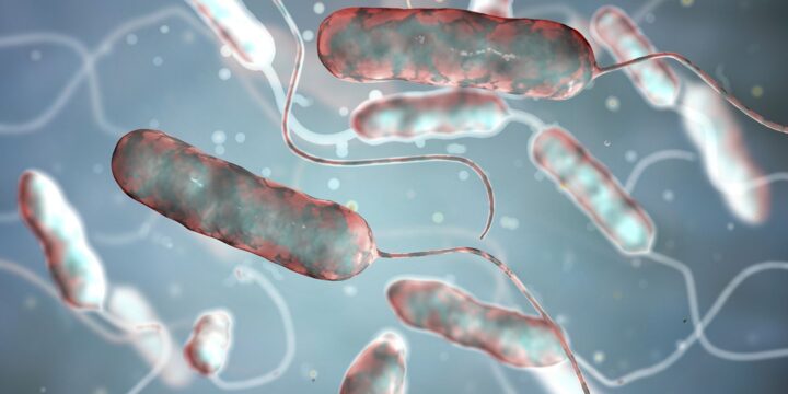 Recent Legionnaires’ Outbreaks Concern Health Officials
