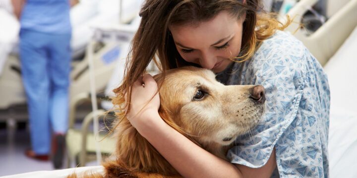 Therapy Dogs Can Help Ease Pain in the Emergency Room