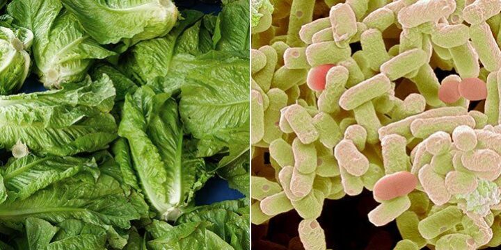 FDA Identifies Source of E. Coli Outbreak Linked to Romaine Lettuce