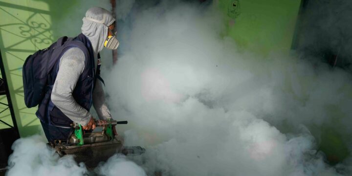 Record dengue surge in Latin America spurs a warning for preventative measures